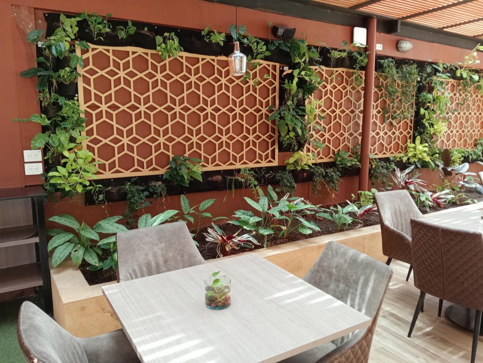 Hotel Lomas 10 Medellin By Dico 外观 照片